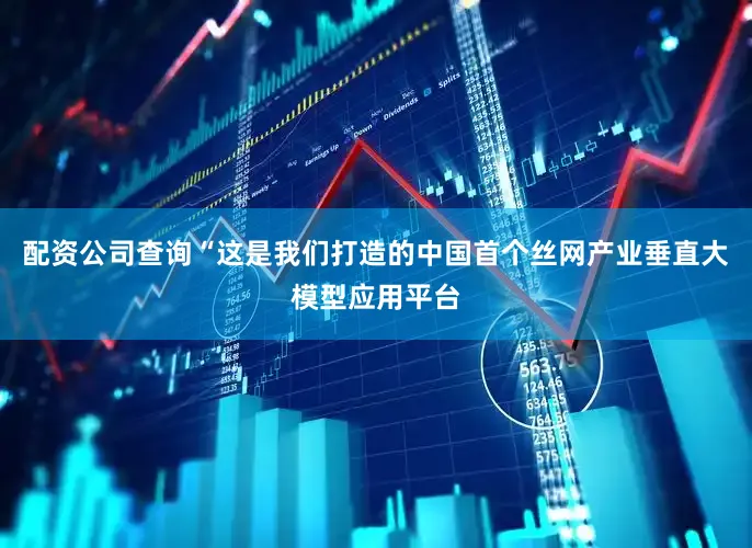 配资公司查询“这是我们打造的中国首个丝网产业垂直大模型应用平台