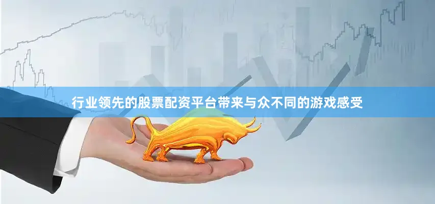 行业领先的股票配资平台带来与众不同的游戏感受